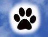 4PawsProductions